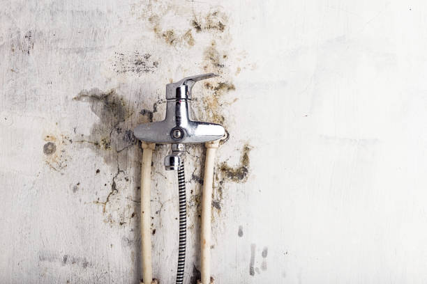 Best Certified Mold Removal  in Keedysville, MD