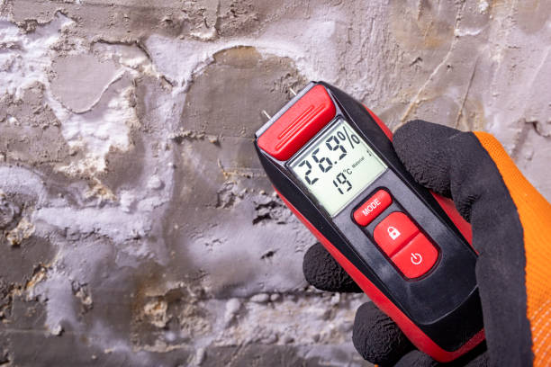 Attic Mold Removal in Keedysville, MD