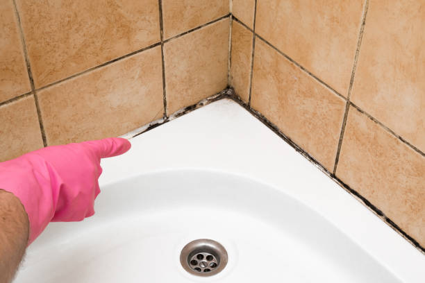 Best Attic Mold Removal  in Keedysville, MD
